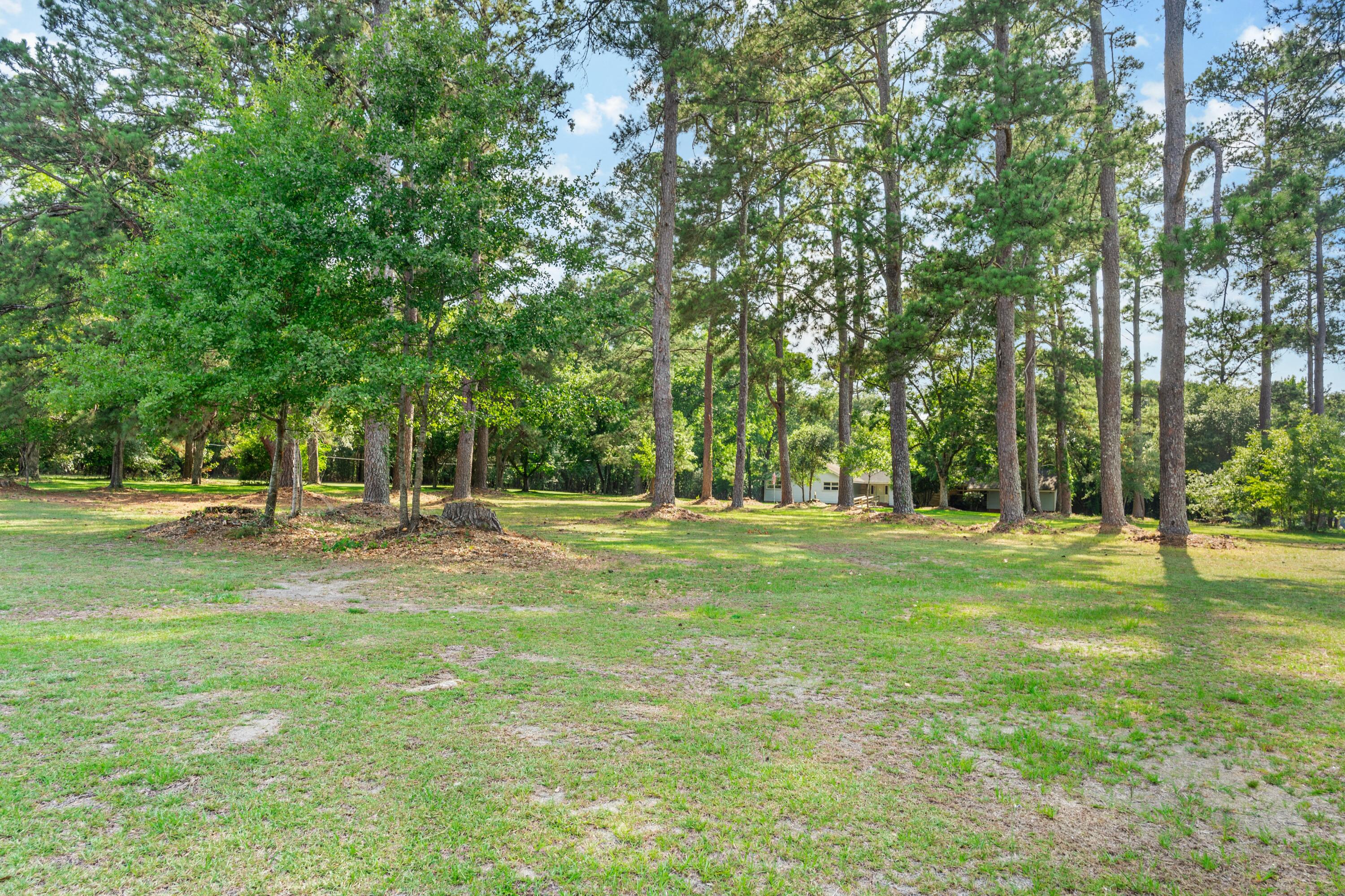 3022 Cordova Road Cordova, SC 29039 - Photo 34 of 35 DSC02999