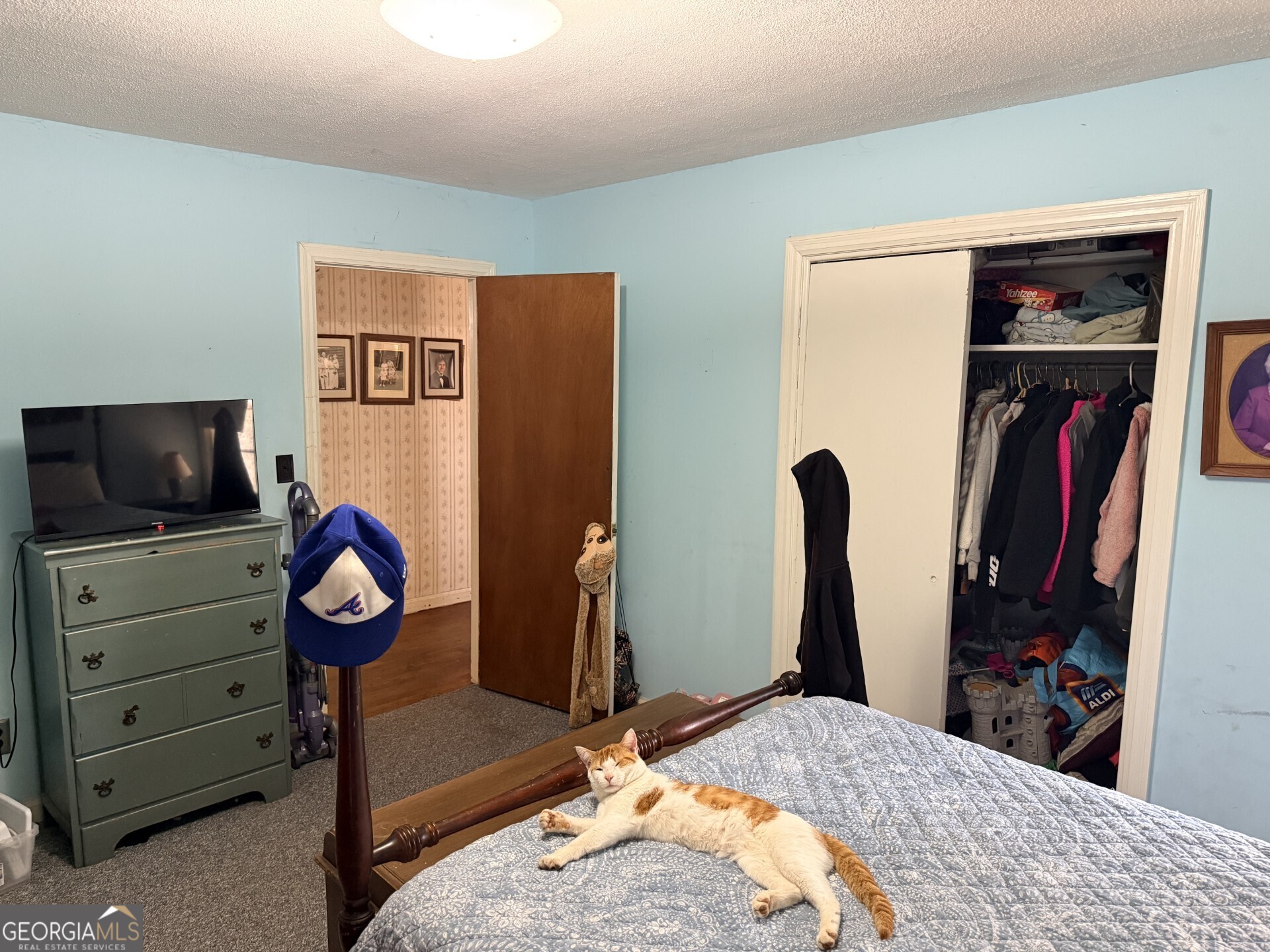 146 Nature Path Dallas, GA 30132 - Photo 18 of 43