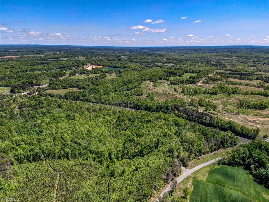 0 Benton Road Reidsville, NC 27320 - Photo 8 of 10