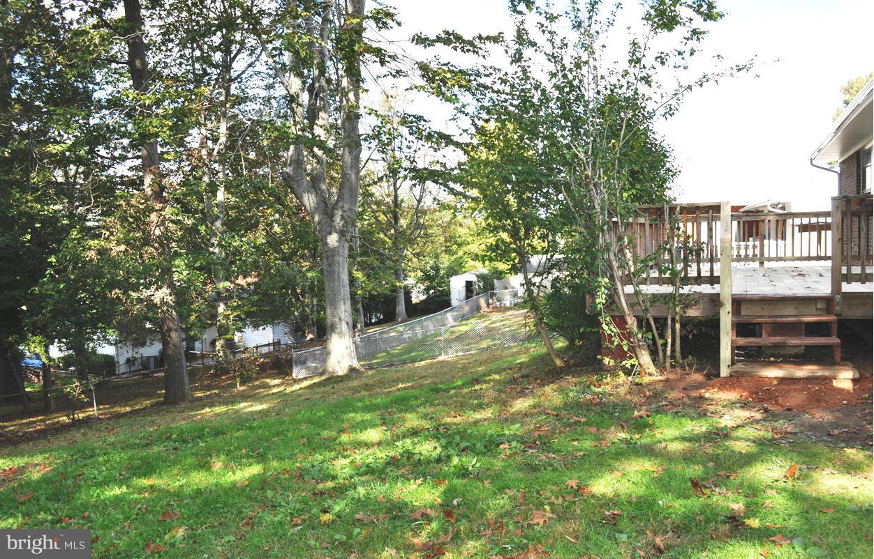 5309 Moultrie Road Springfield, VA 22151 - Photo 11 of 11 Back yard