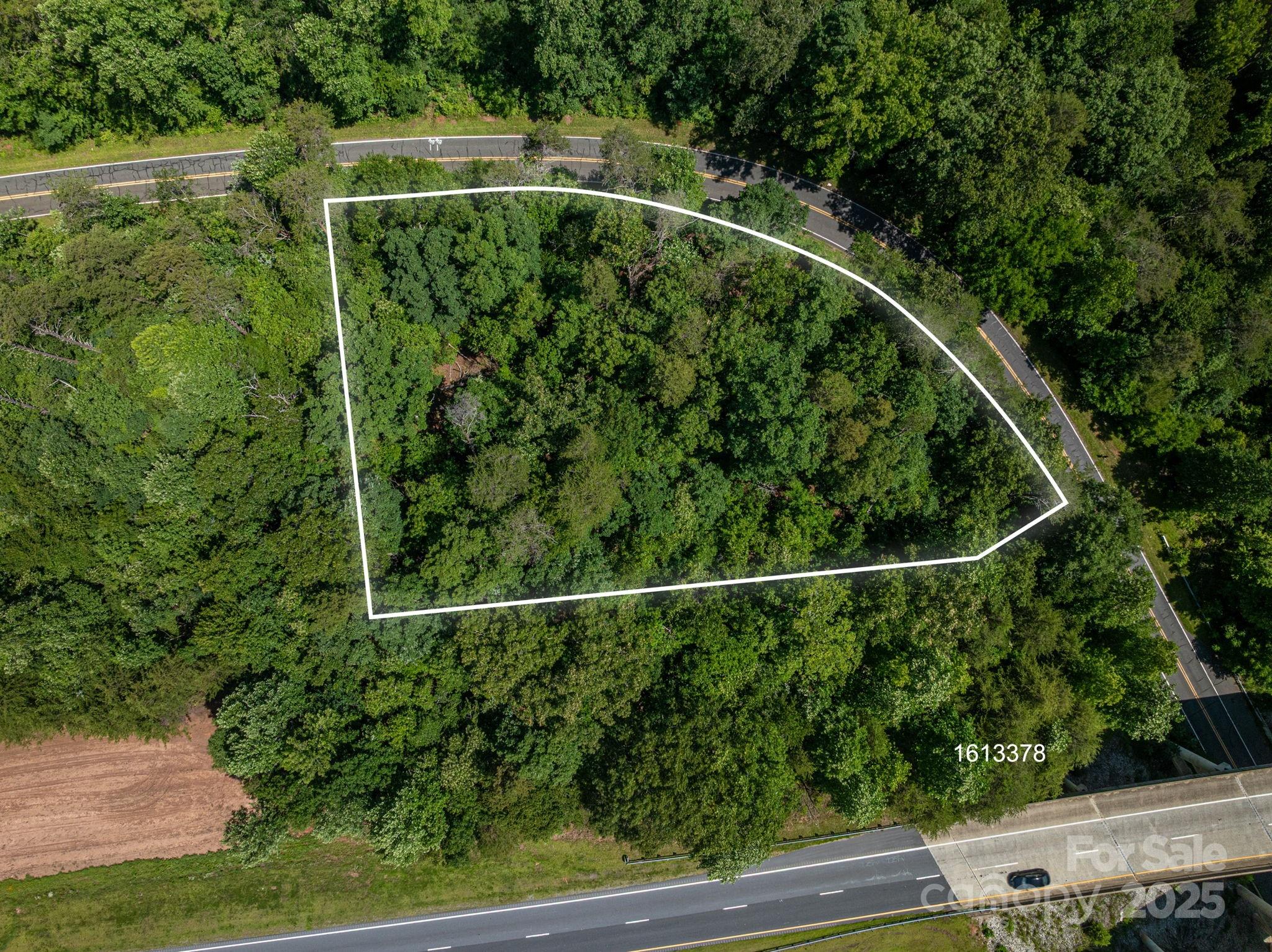 Lot #69 Cleghorn Mill Road Rutherfordton, NC 28139 - Photo 2 of 26