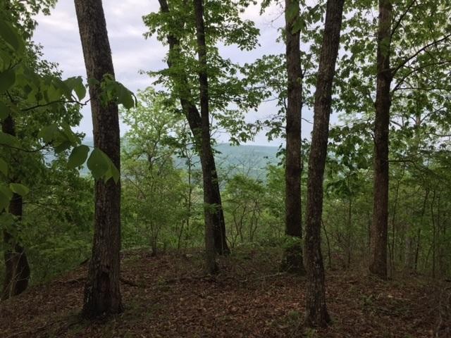 22 Jackson Point Road Sewanee, TN 37375 - Photo 1 of 14 Gallery Image 1
