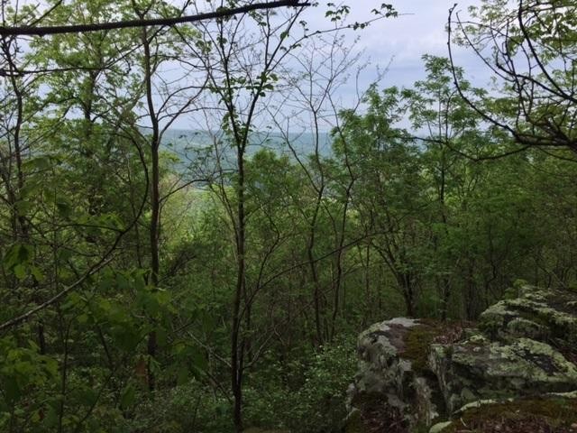 22 Jackson Point Road Sewanee, TN 37375 - Photo 2 of 14 Gallery Image 2