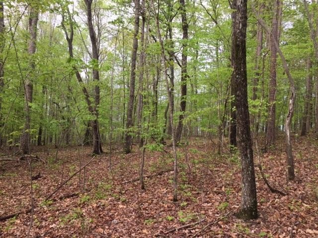 22 Jackson Point Road Sewanee, TN 37375 - Photo 5 of 14 Gallery Image 5
