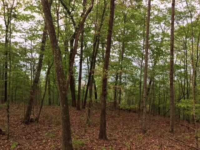 22 Jackson Point Road Sewanee, TN 37375 - Photo 9 of 14 Gallery Image 9