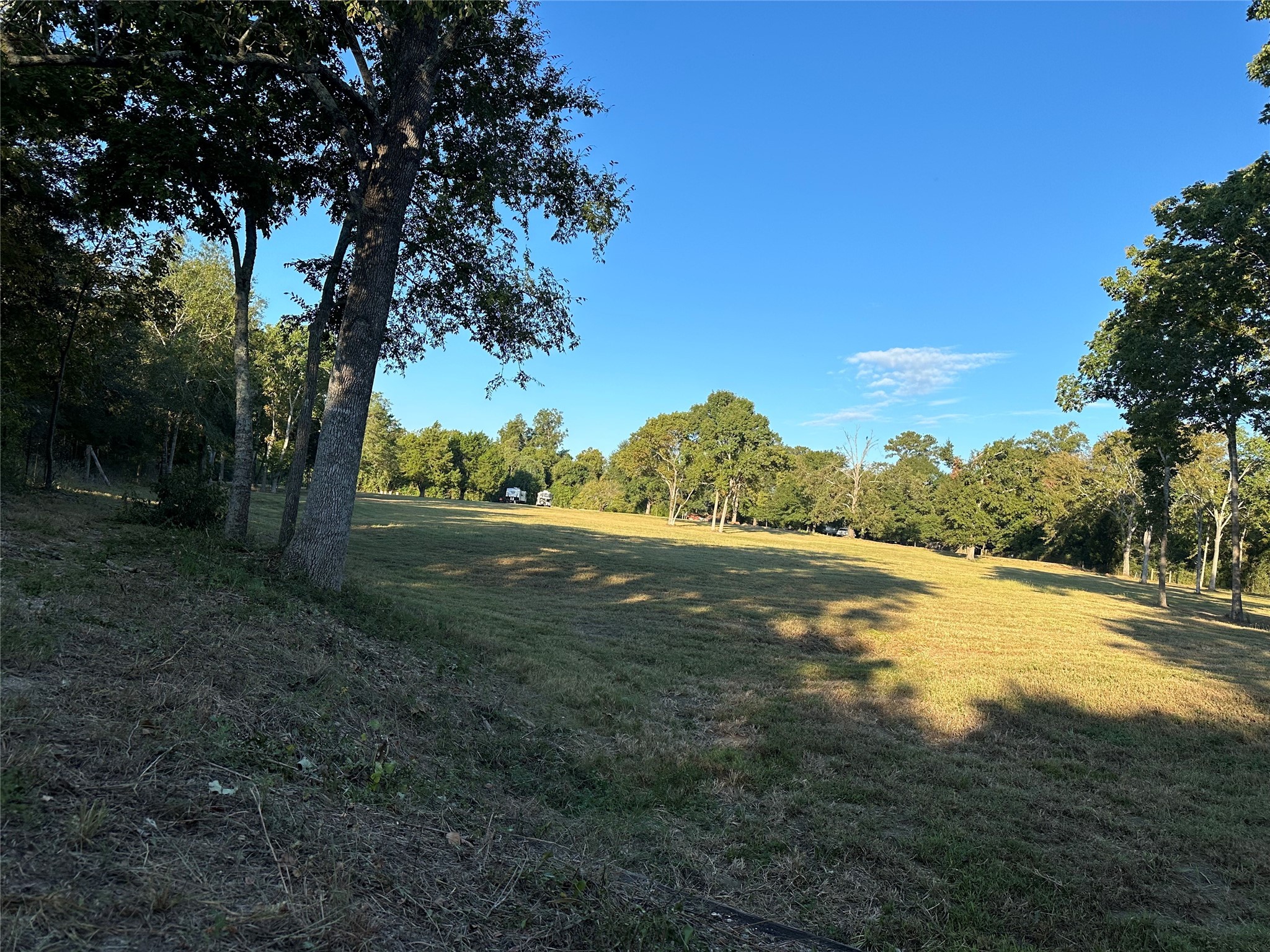 612 Worsham Street Montgomery, TX 77356 - Photo 11 of 18 a view of a field of grass and trees