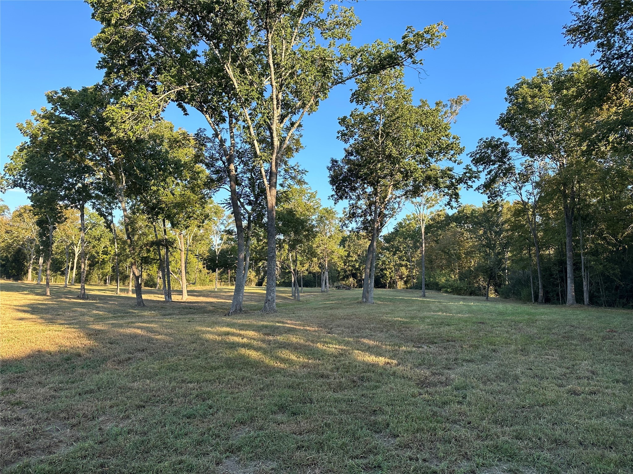 612 Worsham Street Montgomery, TX 77356 - Photo 12 of 18 a view of a park with large trees