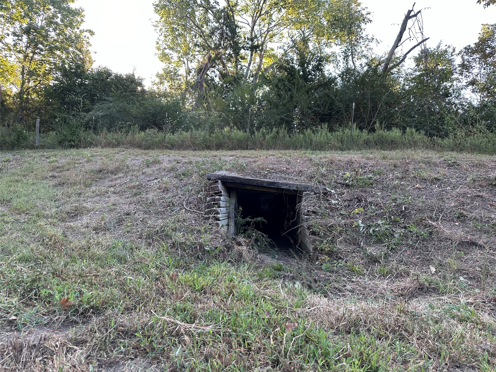 612 Worsham Street Montgomery, TX 77356 - Photo 14 of 18 a view of a big yard with large trees