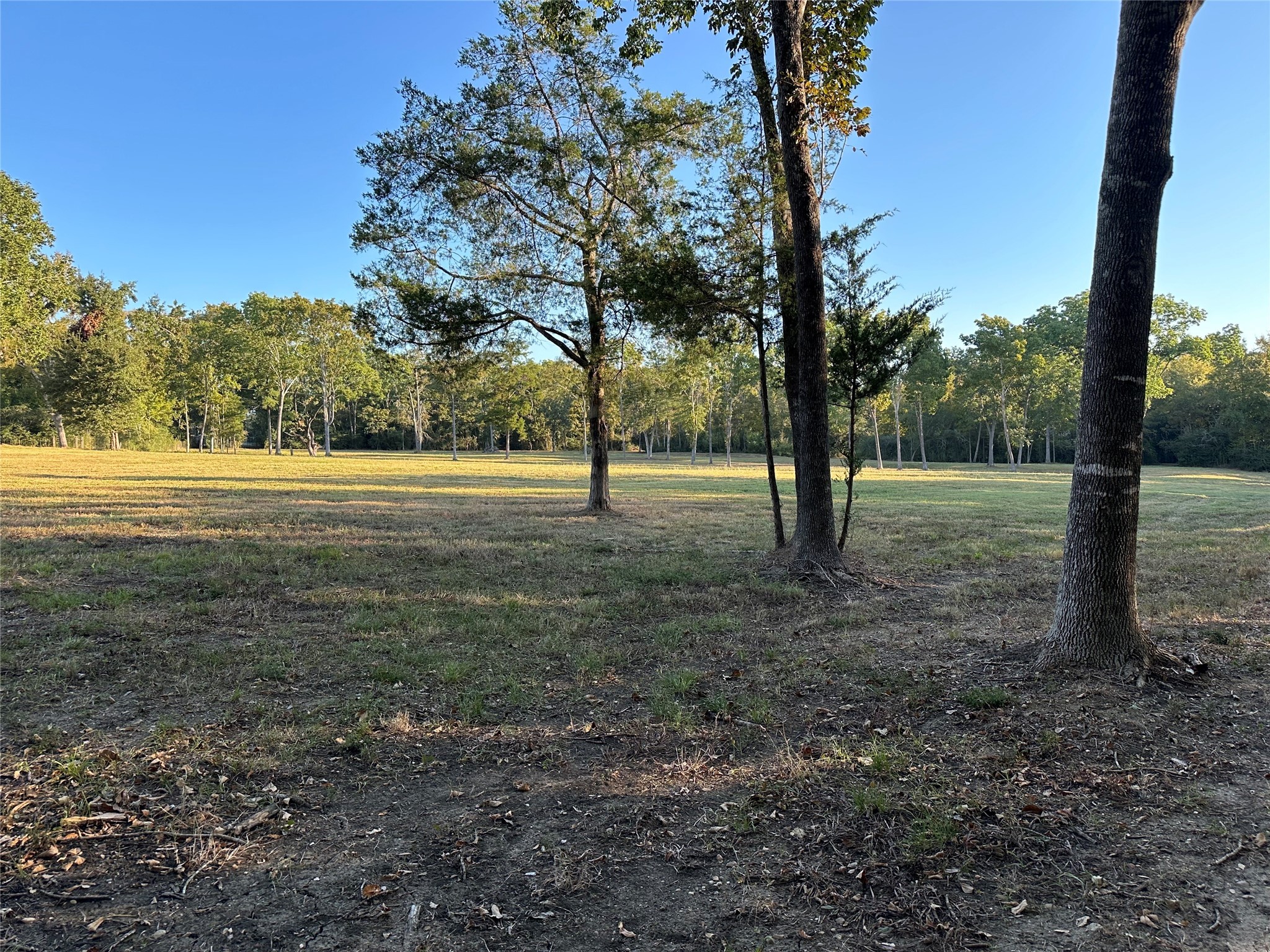 612 Worsham Street Montgomery, TX 77356 - Photo 15 of 18 a view of outdoor space with green field and trees