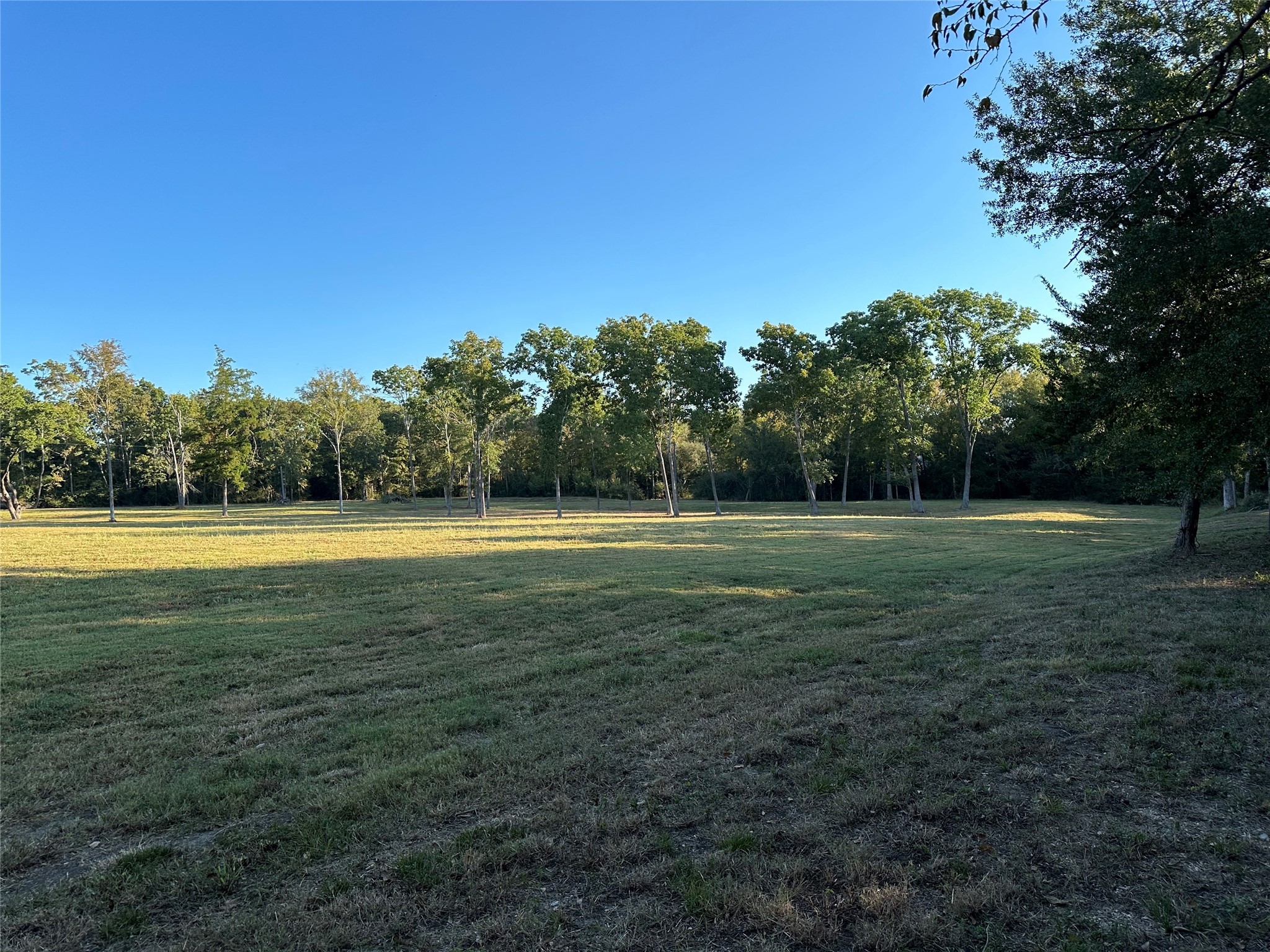 612 Worsham Street Montgomery, TX 77356 - Photo 17 of 18 a view of a swimming pool and a yard