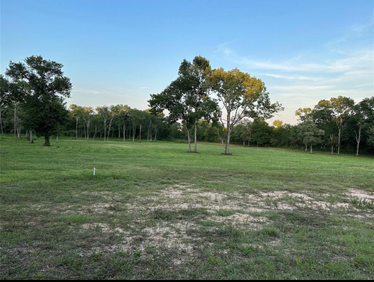 612 Worsham Street Montgomery, TX 77356 - Photo 2 of 18 a view of a grassy field with trees