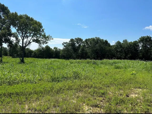 $1,299,000 | 612 Worsham Street, Montgomery, TX 77356