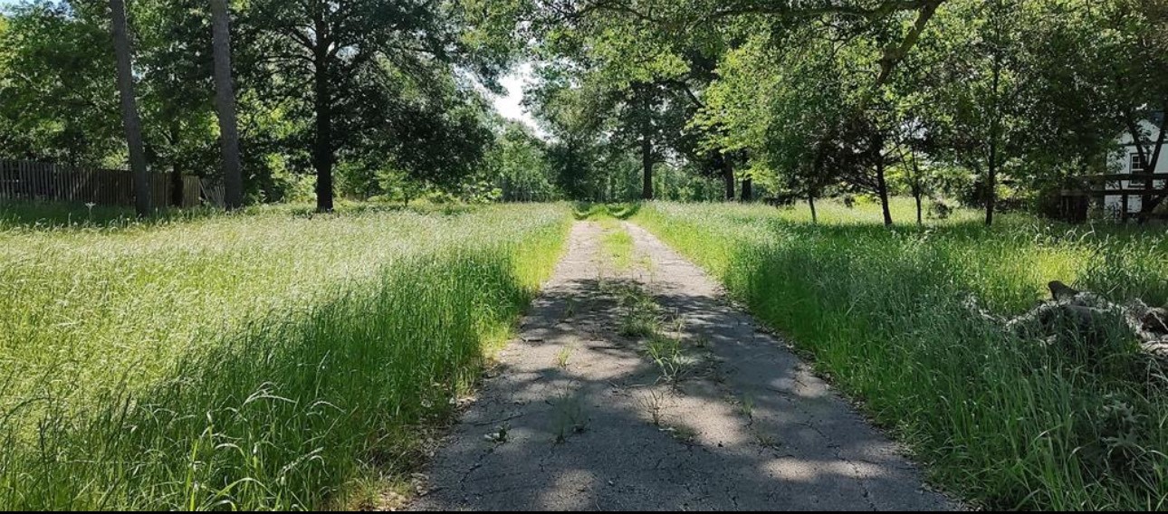612 Worsham Street Montgomery, TX 77356 - Photo 4 of 18 a view of lake with a yard