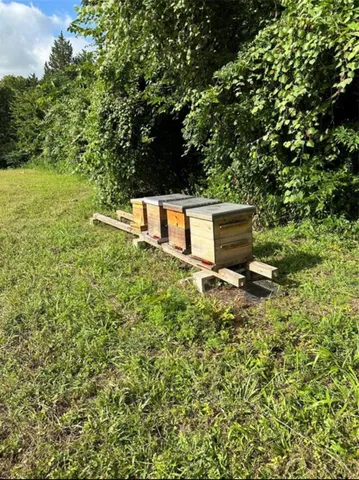 $1,299,000 | 612 Worsham Street, Montgomery, TX 77356