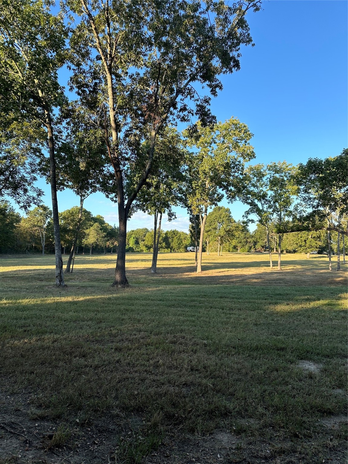 612 Worsham Street Montgomery, TX 77356 - Photo 6 of 18 a view of outdoor space with green space