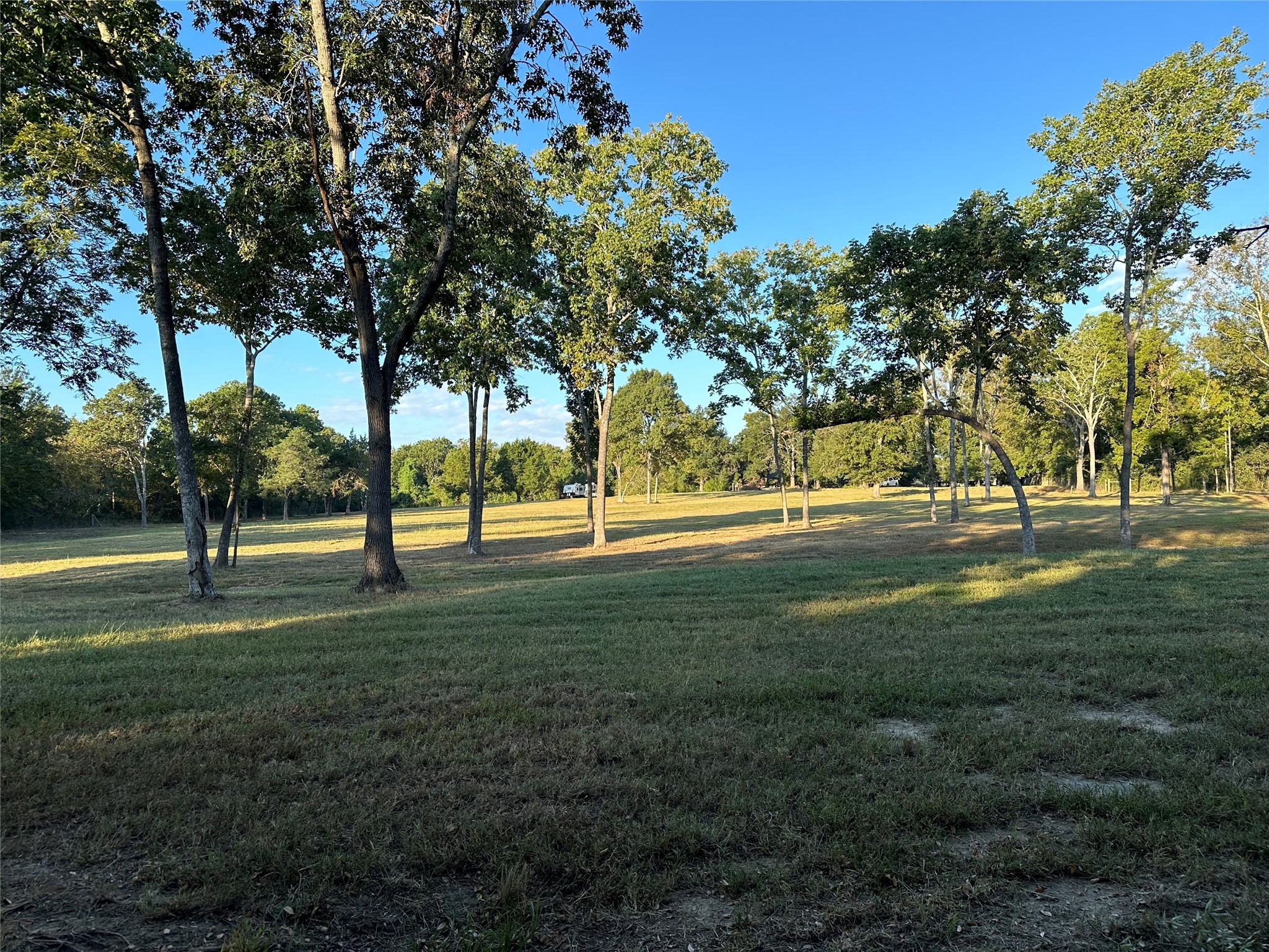 612 Worsham Street Montgomery, TX 77356 - Photo 7 of 18