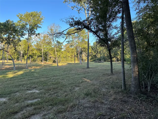 $1,299,000 | 612 Worsham Street, Montgomery, TX 77356