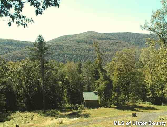 26 Carle Road Mount Tremper, NY 12457 - Photo 2 of 5 a view of a backyard