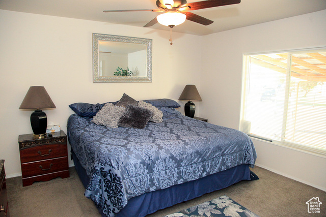 20 Kings Court Logan, UT 84321 - Photo 15 of 22