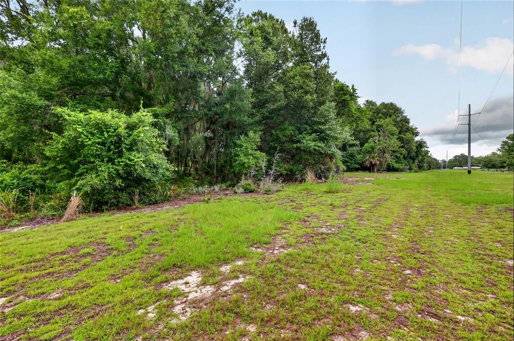 Kilker Road Paisley, FL 32767 - Photo 13 of 15