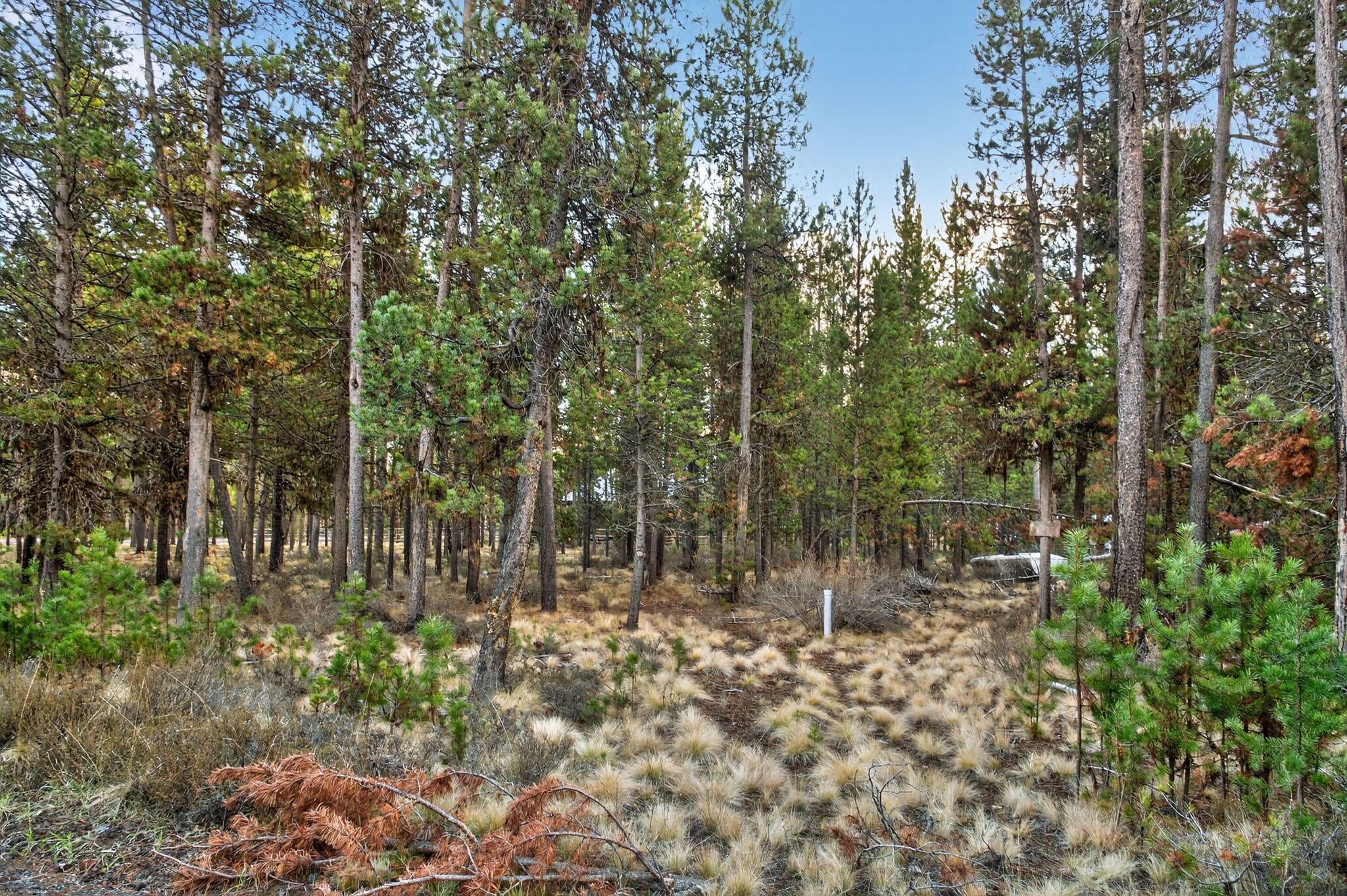 17177 Glendale Road Bend, OR 97707 - Photo 10 of 11 10-web-or-mls-DSC_4559