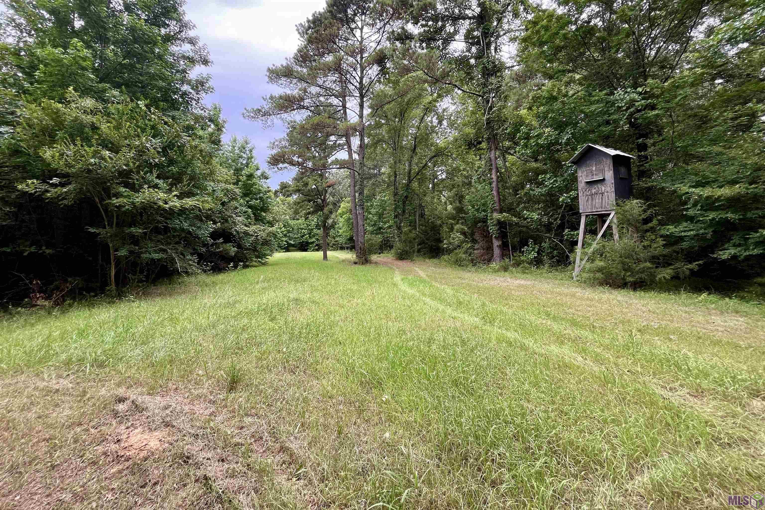 655 Oil Well Road Fayette, MS 39069 - Photo 53 of 58