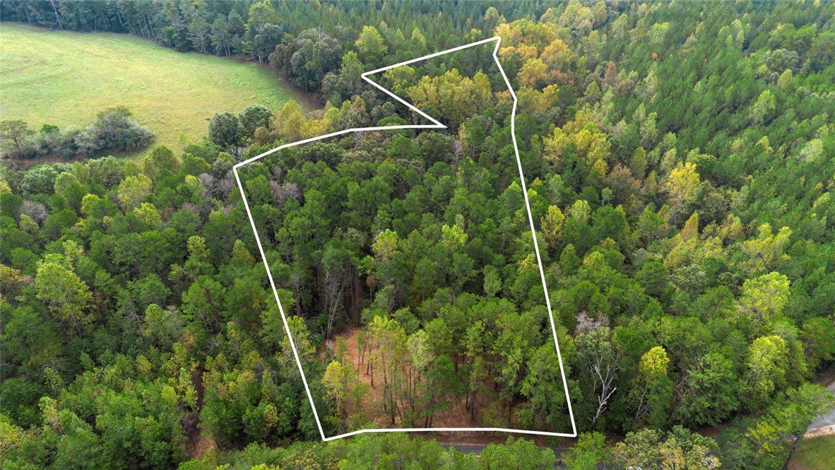 Lot 6 Bolt Road Westminster, SC 29693 - Photo 5 of 16 Gallery Image 5