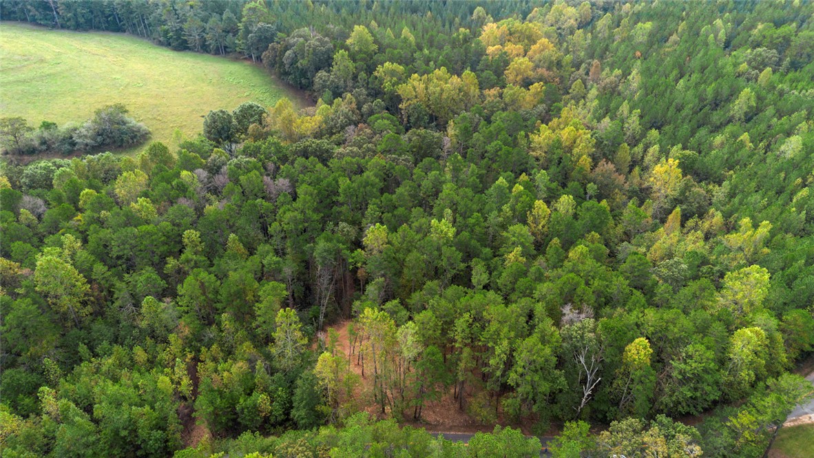 Lot 6 Bolt Road Westminster, SC 29693 - Photo 6 of 16 Gallery Image 6