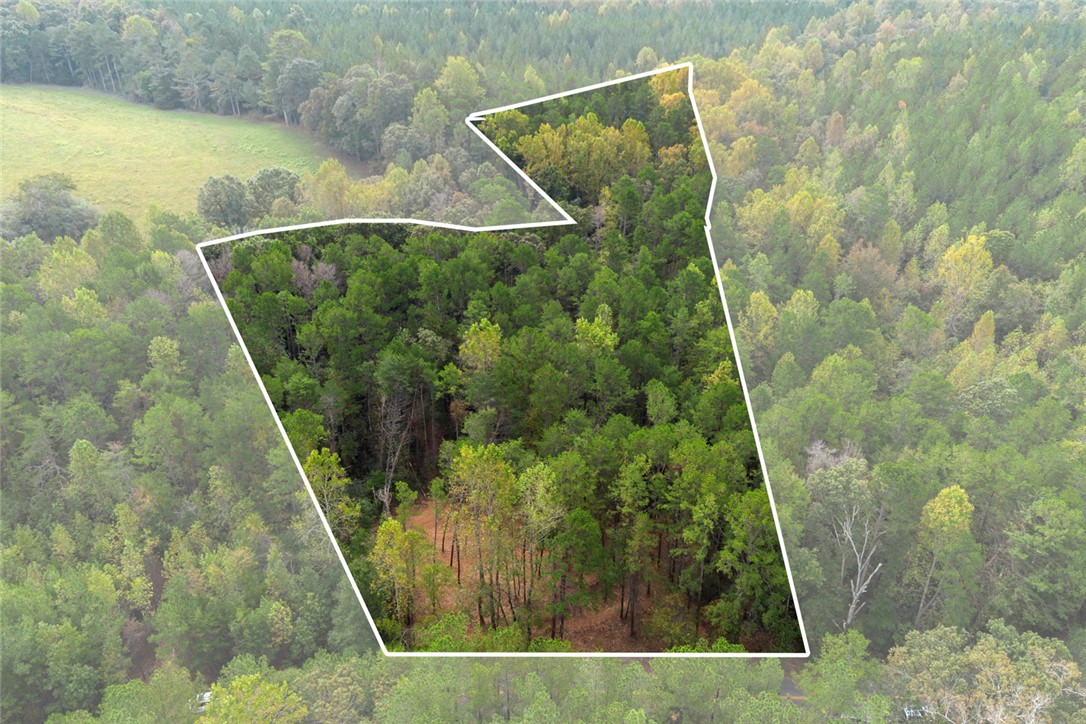 Lot 6 Bolt Road Westminster, SC 29693 - Photo 8 of 16 Gallery Image 8