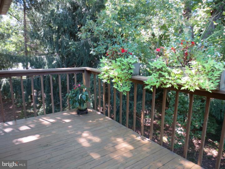 24 Tanglewood Drive Reading, PA 19607 - Photo 7 of 23 Deck
