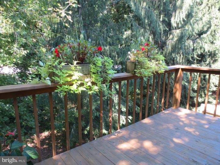 24 Tanglewood Drive Reading, PA 19607 - Photo 8 of 23 Deck