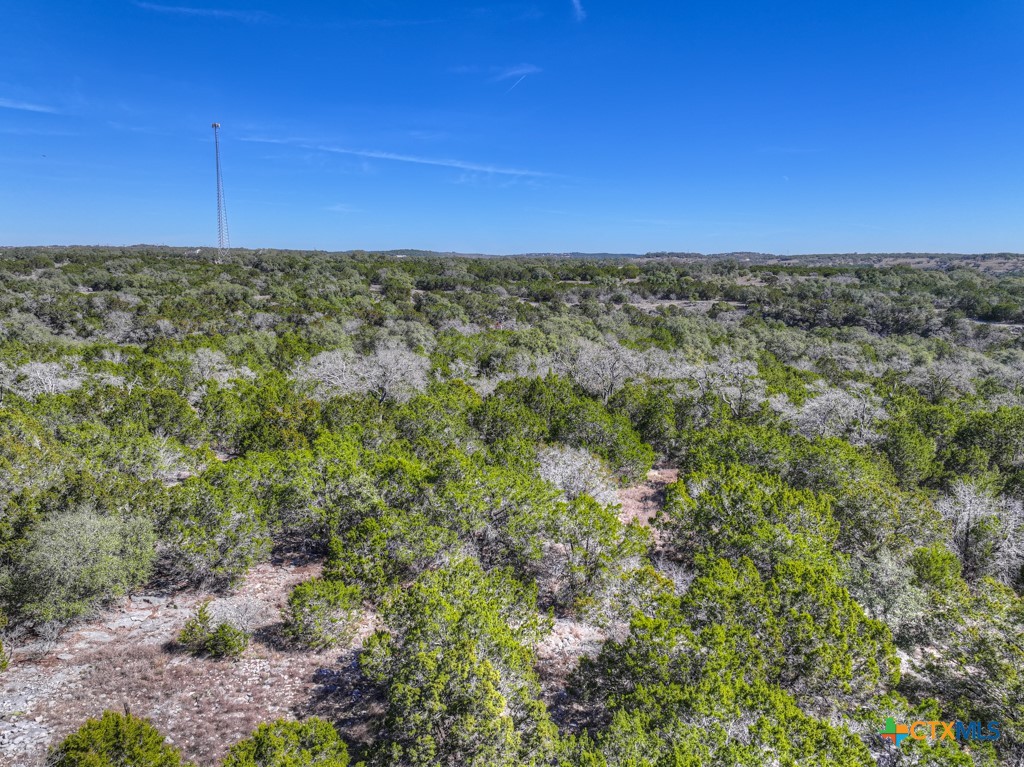 505 Red Rose Street Spring Branch, TX 78070 - Photo 11 of 34