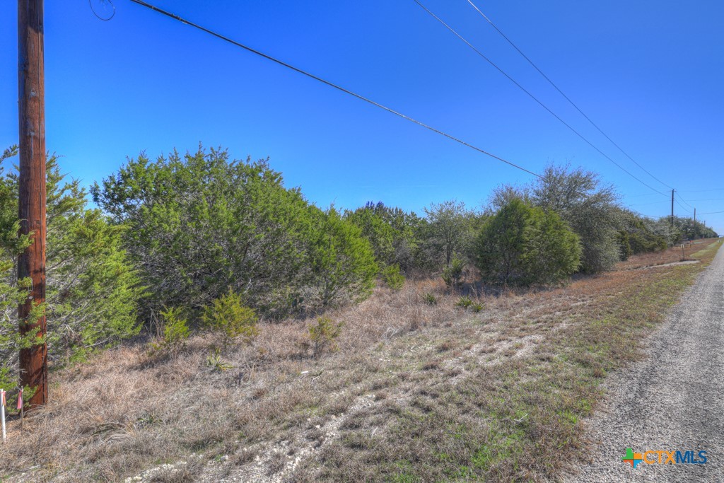 505 Red Rose Street Spring Branch, TX 78070 - Photo 2 of 34