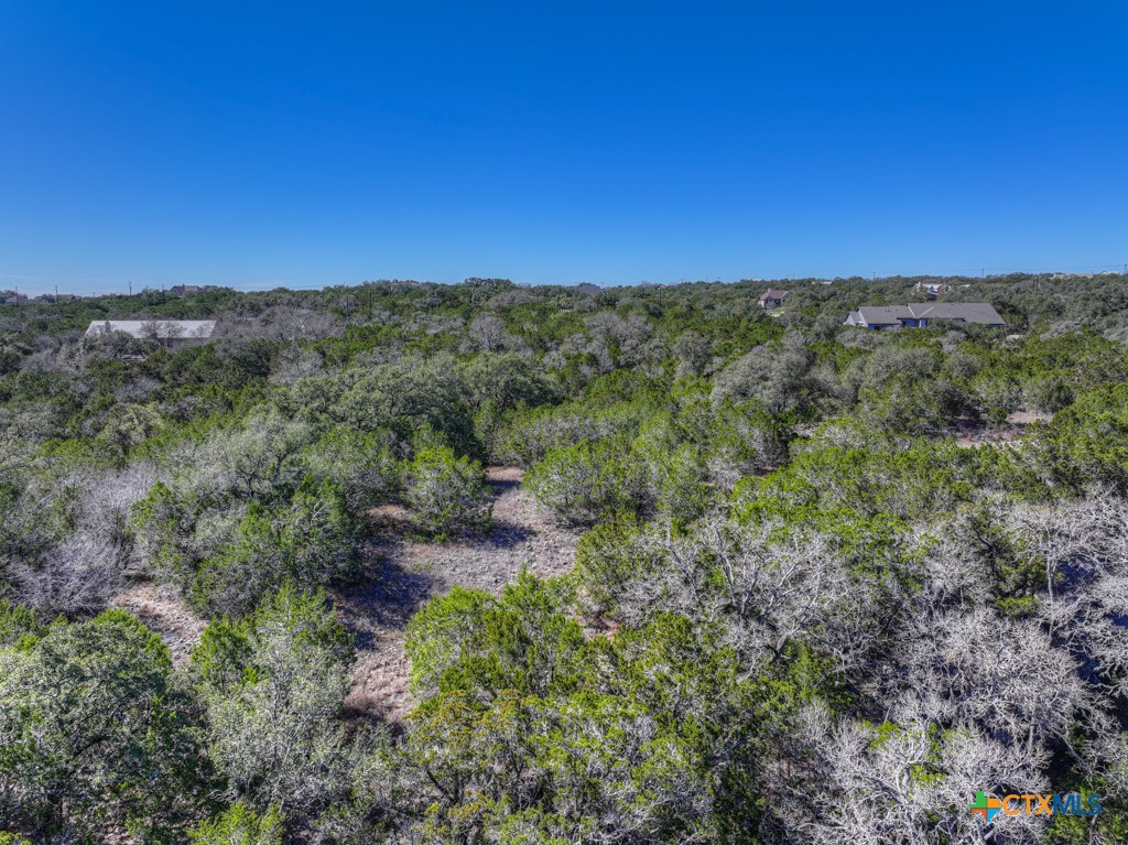 505 Red Rose Street Spring Branch, TX 78070 - Photo 28 of 34