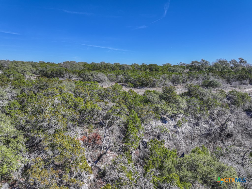 505 Red Rose Street Spring Branch, TX 78070 - Photo 29 of 34