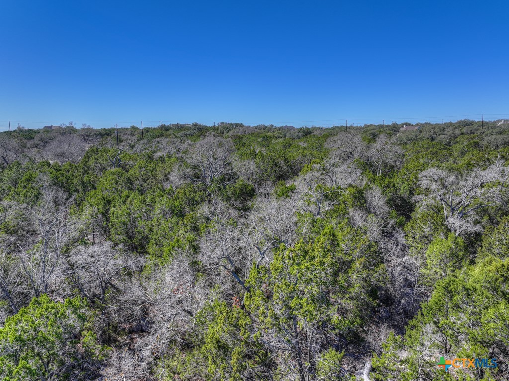 505 Red Rose Street Spring Branch, TX 78070 - Photo 30 of 34