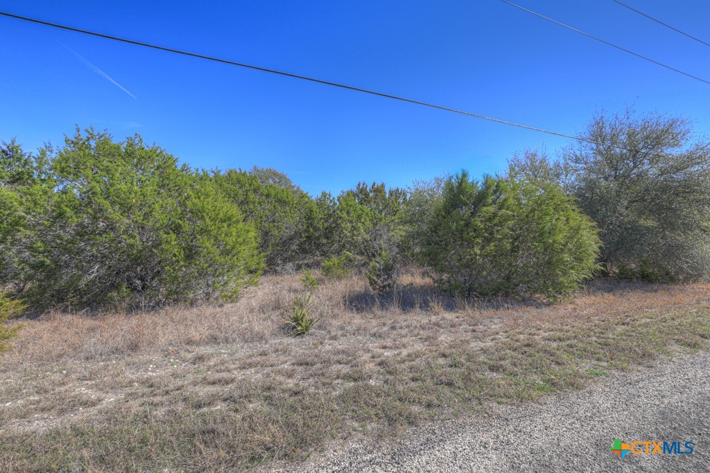 505 Red Rose Street Spring Branch, TX 78070 - Photo 3 of 34