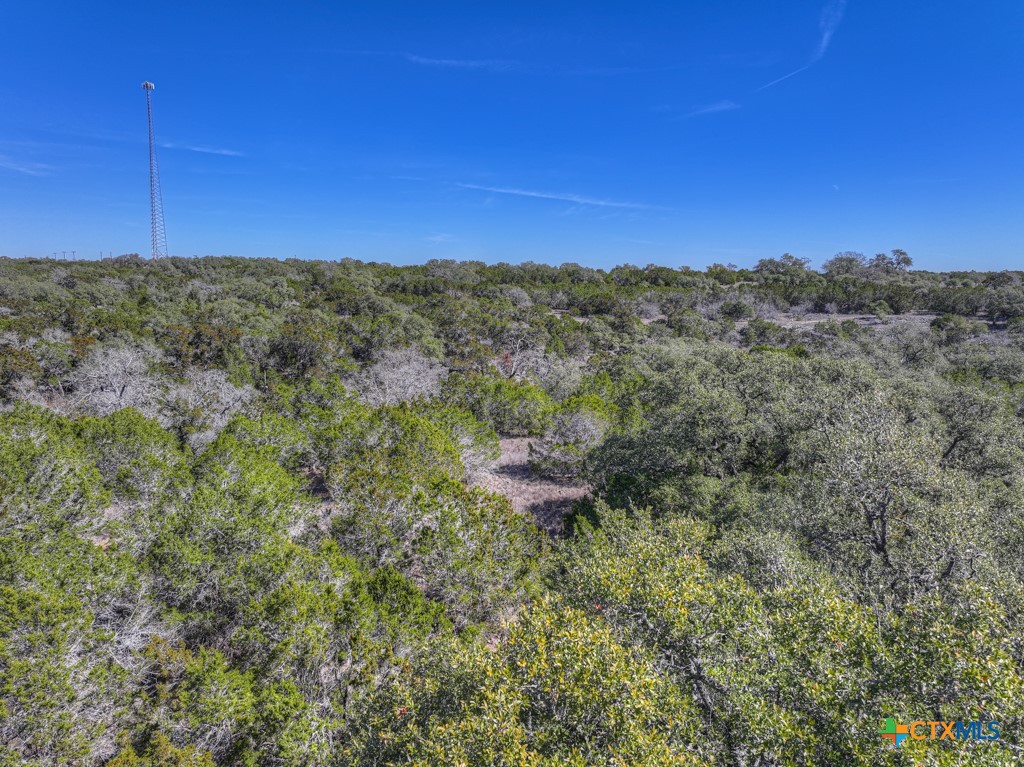 505 Red Rose Street Spring Branch, TX 78070 - Photo 31 of 34