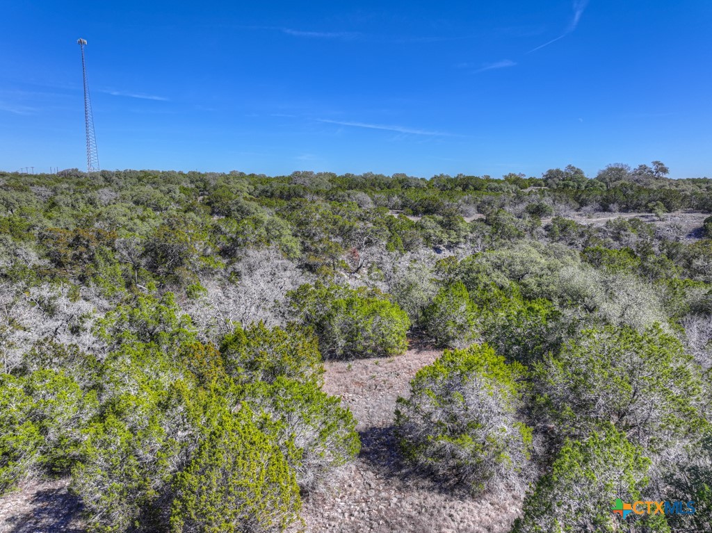505 Red Rose Street Spring Branch, TX 78070 - Photo 32 of 34