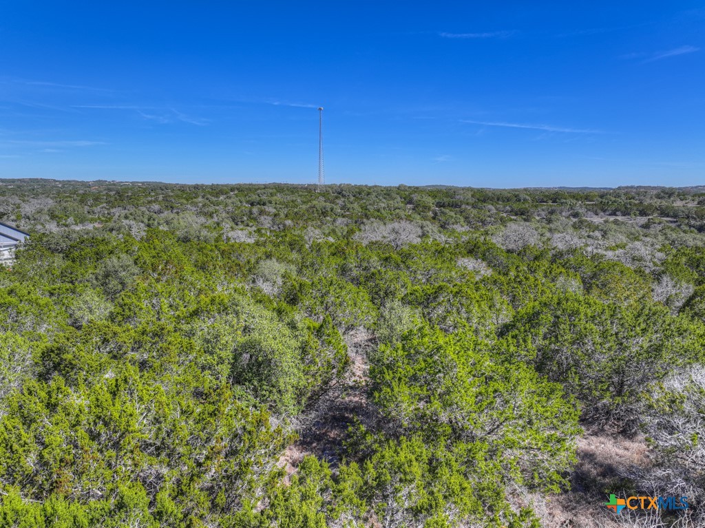 505 Red Rose Street Spring Branch, TX 78070 - Photo 33 of 34