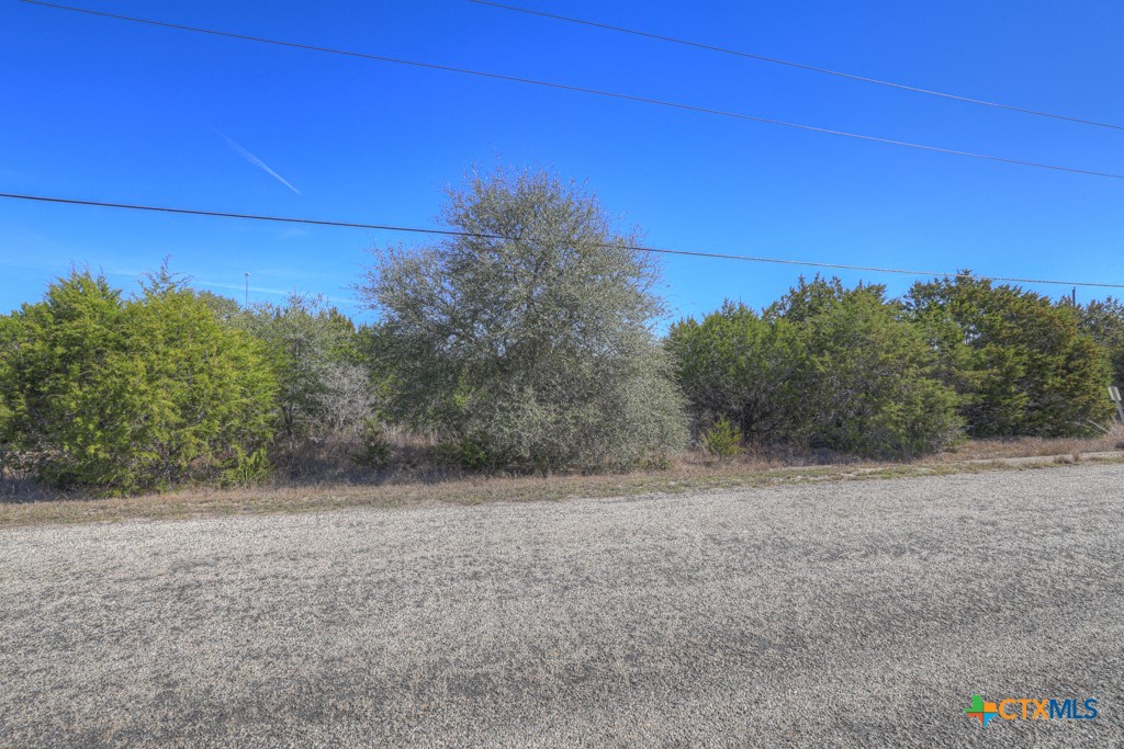 505 Red Rose Street Spring Branch, TX 78070 - Photo 4 of 34