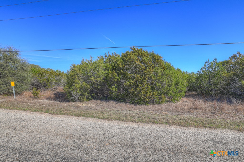 505 Red Rose Street Spring Branch, TX 78070 - Photo 5 of 34