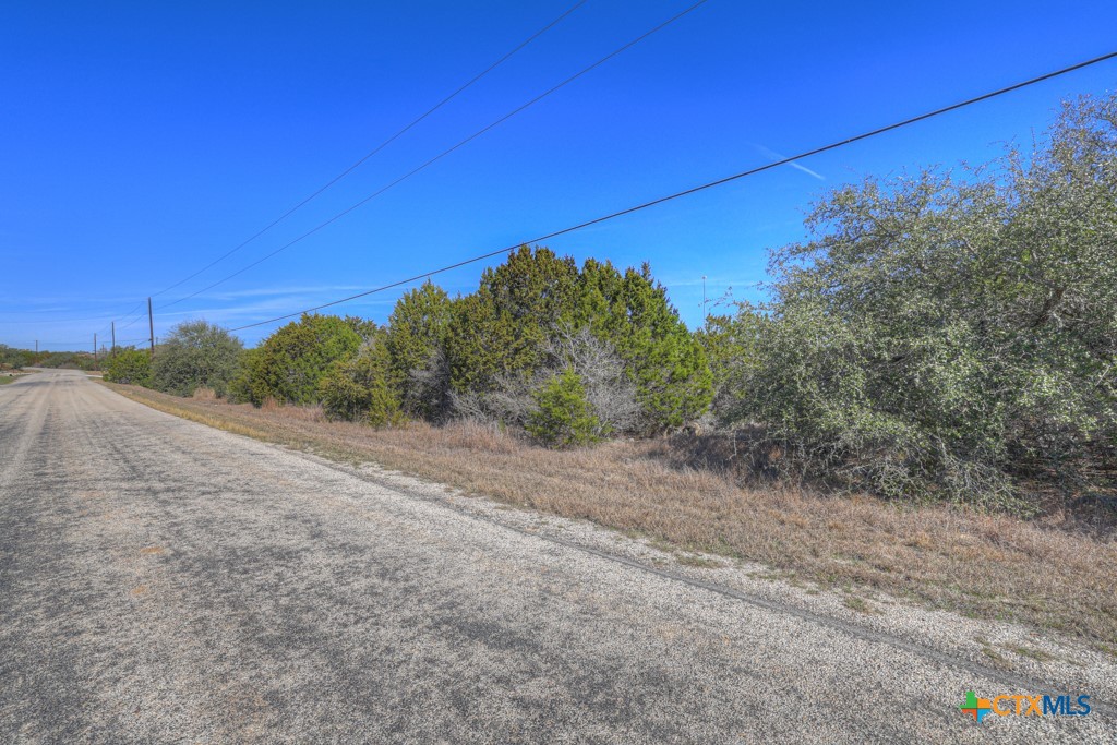 505 Red Rose Street Spring Branch, TX 78070 - Photo 6 of 34