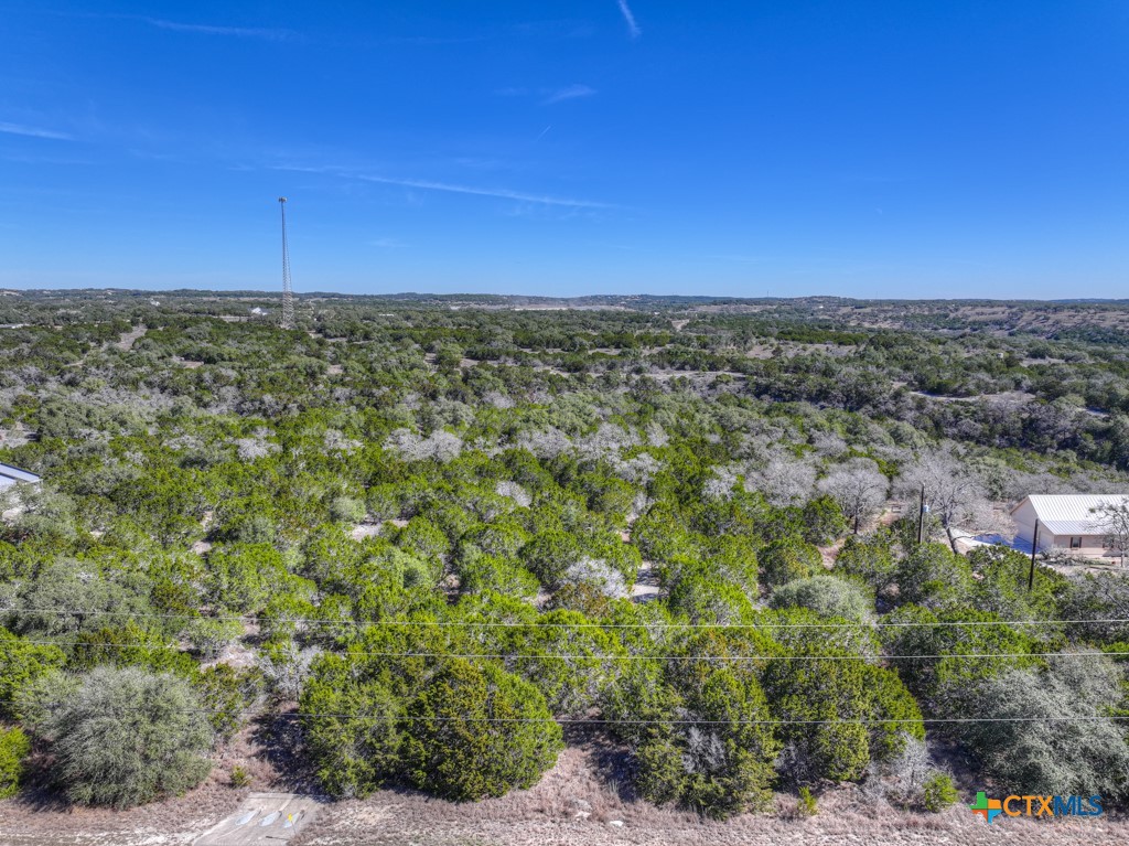 505 Red Rose Street Spring Branch, TX 78070 - Photo 8 of 34