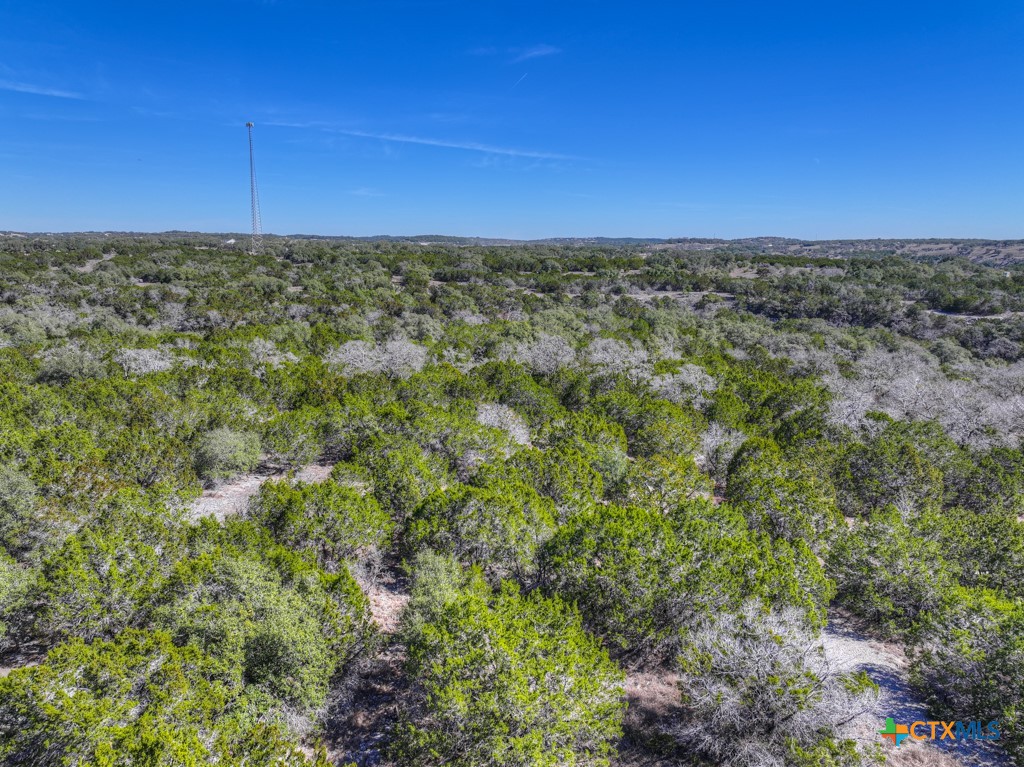 505 Red Rose Street Spring Branch, TX 78070 - Photo 9 of 34