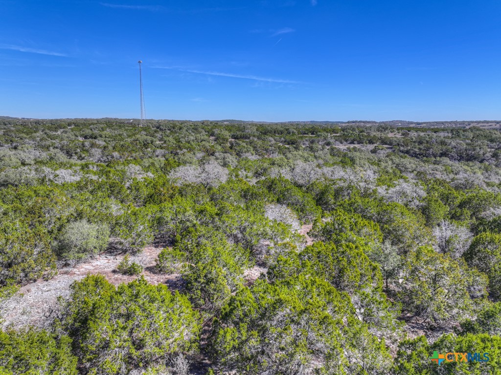 505 Red Rose Street Spring Branch, TX 78070 - Photo 10 of 34