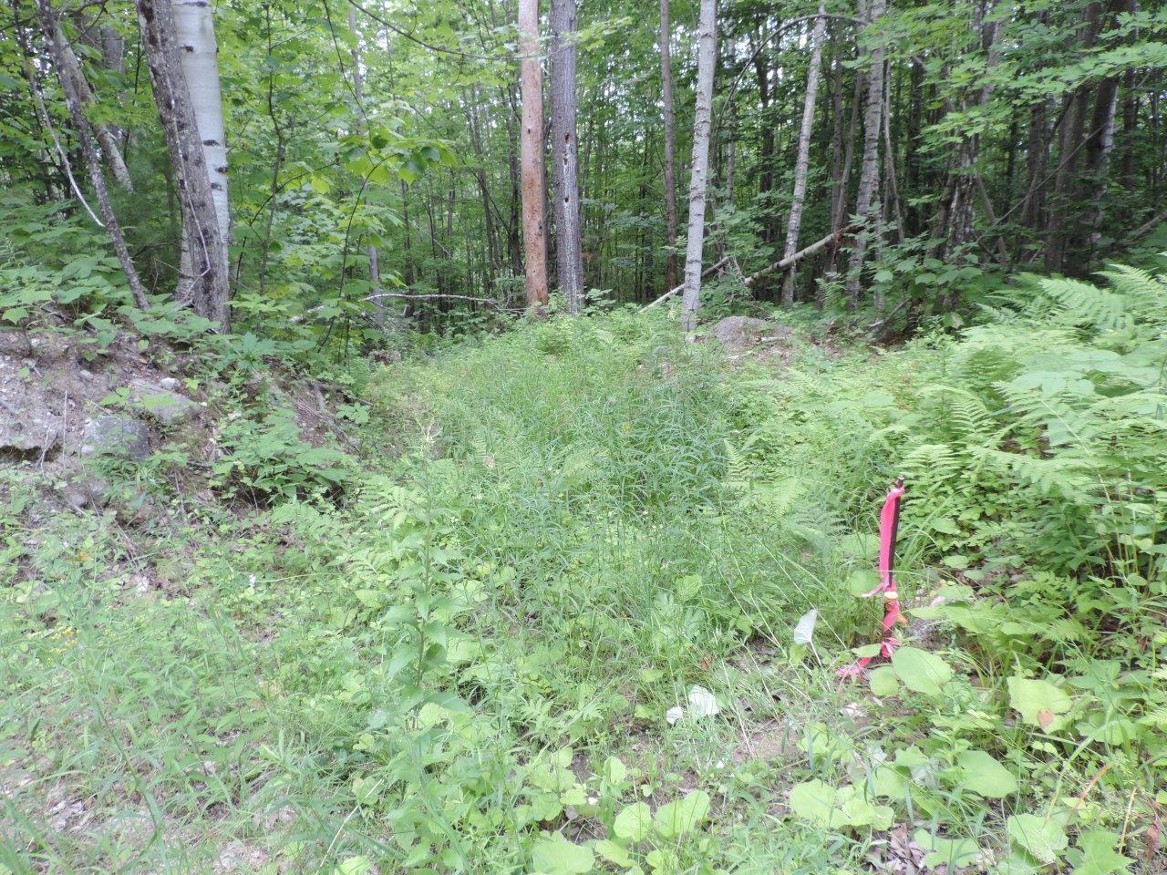 R05-06 Black Mountain Road Harrison, ME 04040 - Photo 1 of 6 DSCN5381