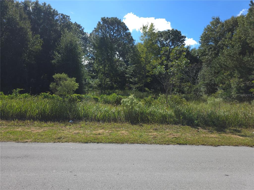 a view of a lake with a yard