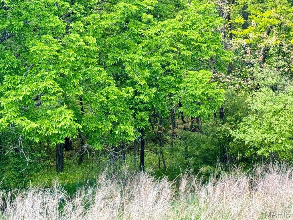 153-ac Aspen Road Humphreys, MO 64646 - Photo 31 of 56