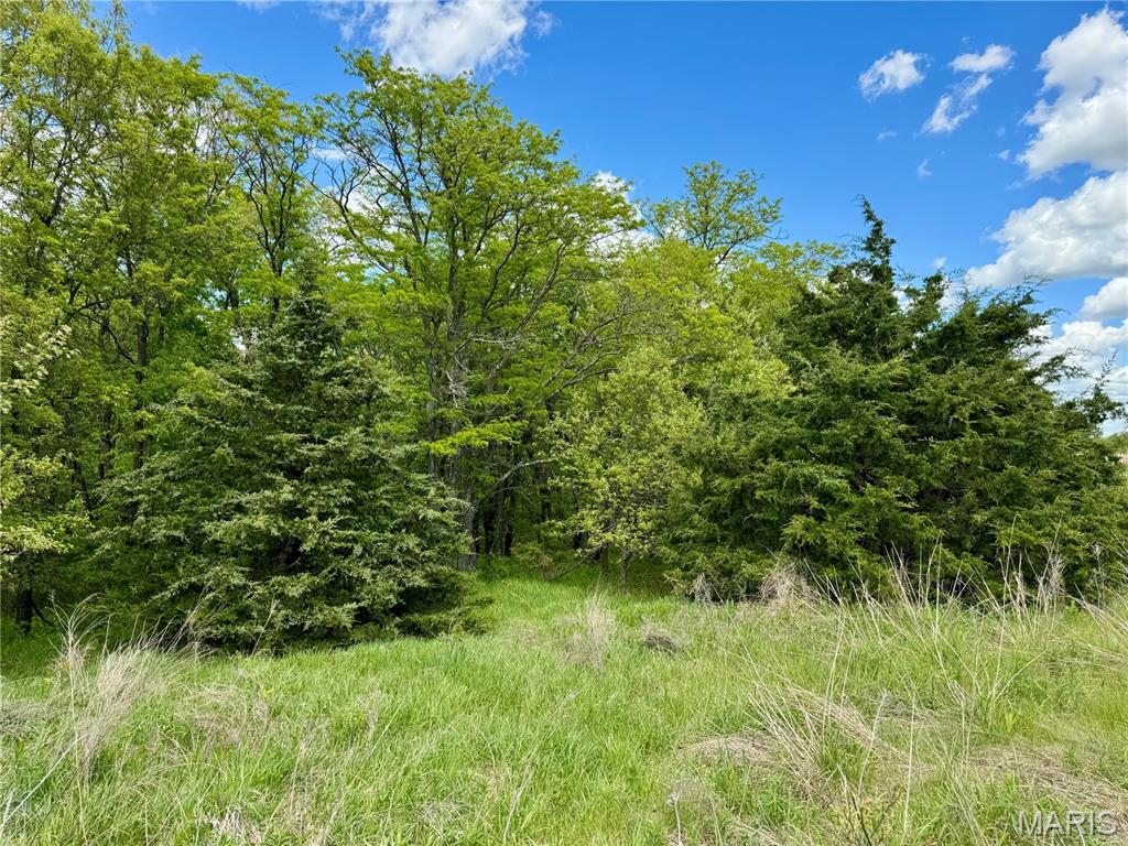 153-ac Aspen Road Humphreys, MO 64646 - Photo 32 of 56